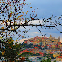 si sta come d'autunno sugli alberi le foglie... di 