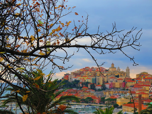 si sta come d'autunno sugli alberi le foglie... di malte