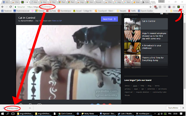 Imgur Gifv as MP4 Downloader chrome extension