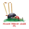 Pulgaon Premier league icon