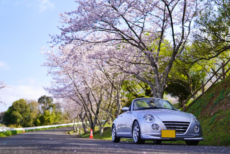 コペンの桜・ドライブ・洗車・コロナウイルスに負けるな・桜と愛車に関するカスタム事例の投稿画像4枚目