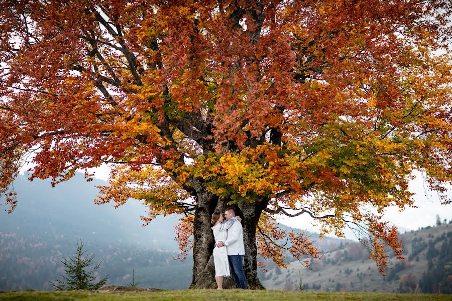 Photographe de mariage Bogdan Vіntonyak (photoartmedia). Photo du 11 février 2023