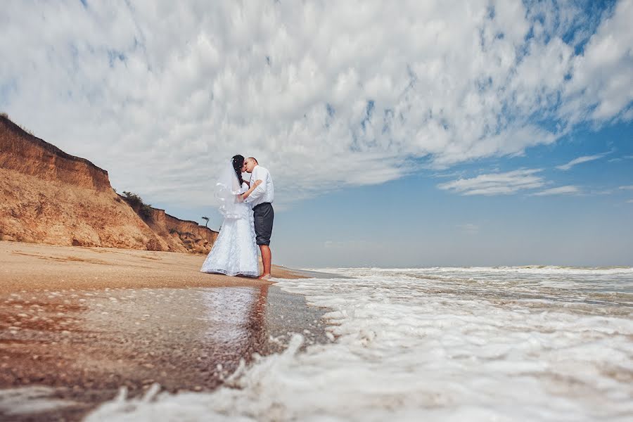 Wedding photographer Dmitriy Vasilenko (dmvasilenko). Photo of 11 December 2014