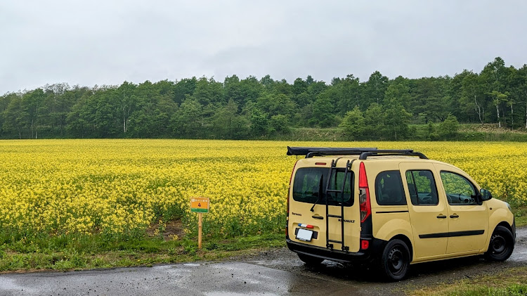 カングーのカングー・６月もよろしくお願いします・安平町菜の花畑・ドライブに関するカスタム事例の投稿画像1枚目