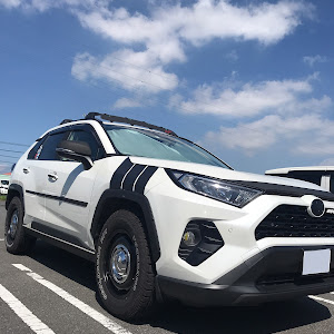 RAV4 MXAA54