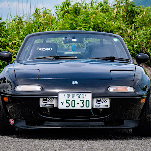 ロードスター NA8C