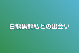 白龍黒龍私との出会い