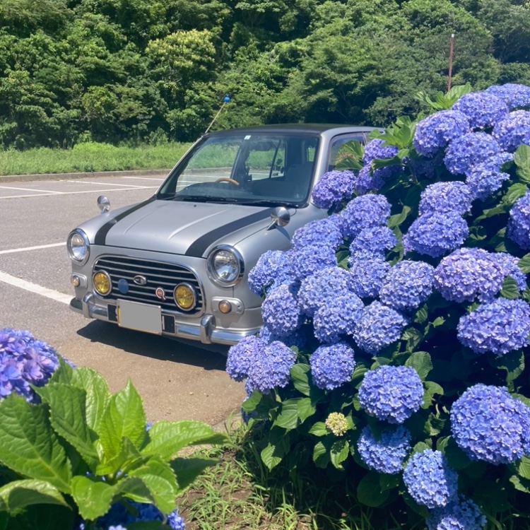 ミラジーノの毎回いいねありがとうございます🙏・イベント会場のギャラリーの車も👍・絶版車愛好会❣️・旧車の集い・熱中症に気をつけて!!に関するカスタム事例の投稿画像41枚目