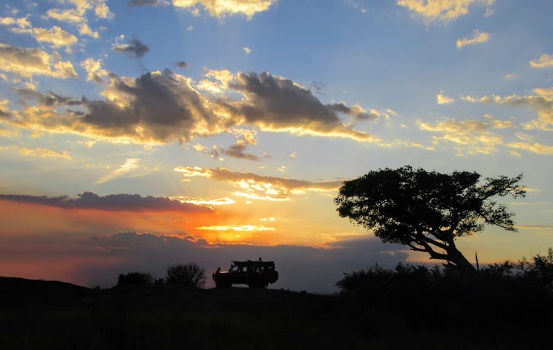 NOS VAMOS A MASAI MARA - Un poquito de Kenia: Lagos Naivasha y Nakuru, Samburu y Masai Mara (38)