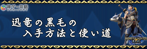 迅竜の黒毛