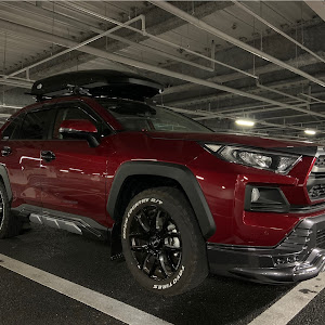 RAV4 MXAA54