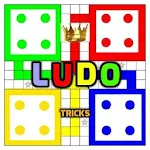 Cover Image of Download Ludo Guide 7.0 APK