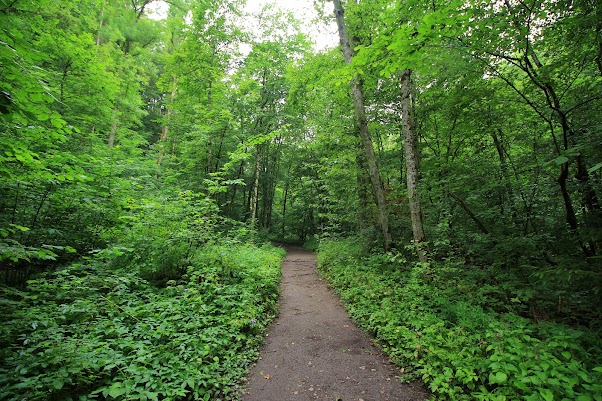 Ruta de Wutachschulcht -LUNES 10 DE JULIO - 15 días por la Selva Negra y la Alsacia Francesa (4)