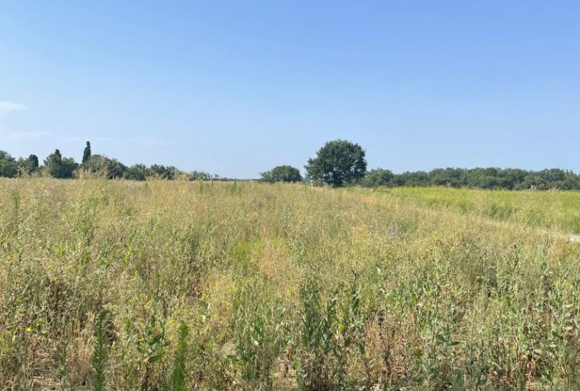  Vente Terrain à bâtir - 520m² à Merville (31330) 