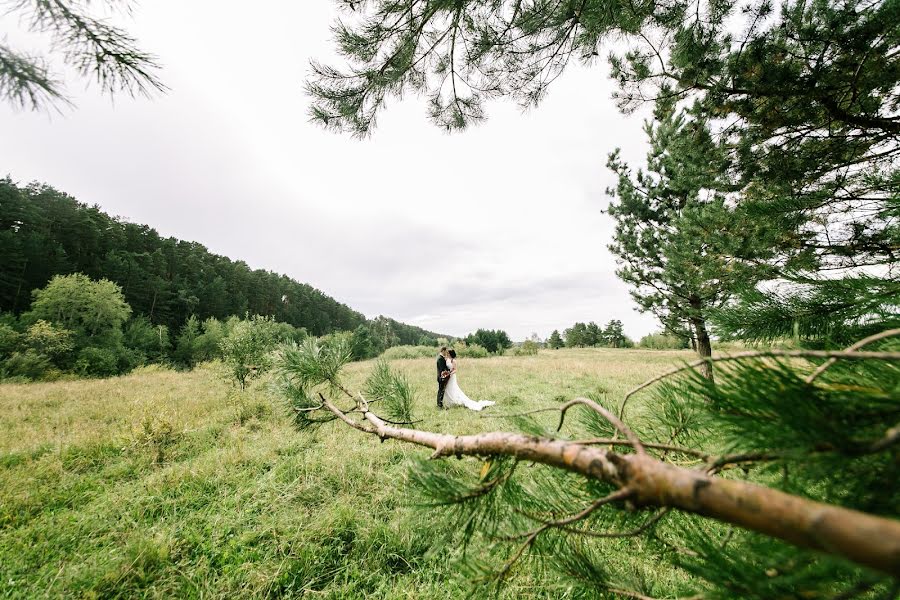 Fotografo di matrimoni Denis Kalinkin (deniskalinkin). Foto del 31 marzo 2016