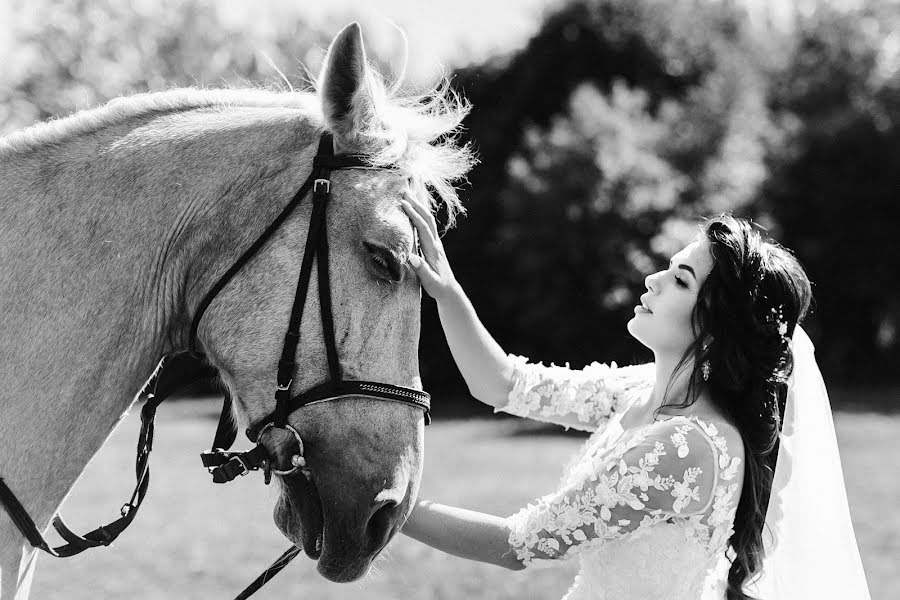 Photographe de mariage Vera Scherbakova (vera007). Photo du 5 novembre 2018