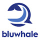 Bluwhale - Trait Tag & Description Generator