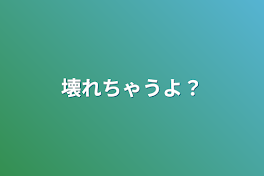 壊れちゃうよ？