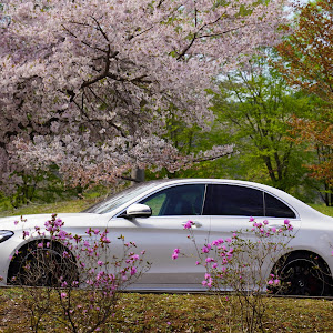 Cクラス W205