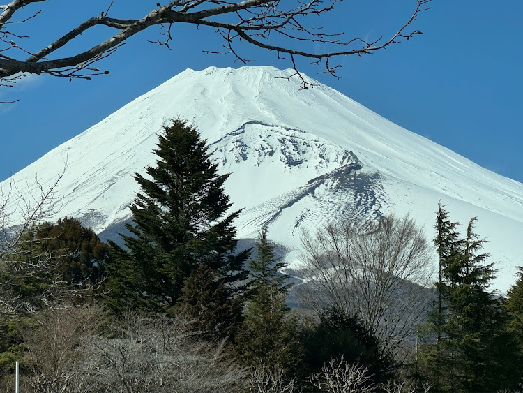 の投稿画像2枚目