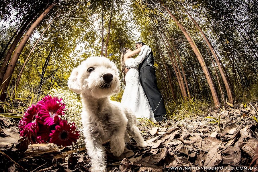 Fotógrafo de casamento Nathan Rodrigues (nathanrodrigues). Foto de 3 de fevereiro 2016