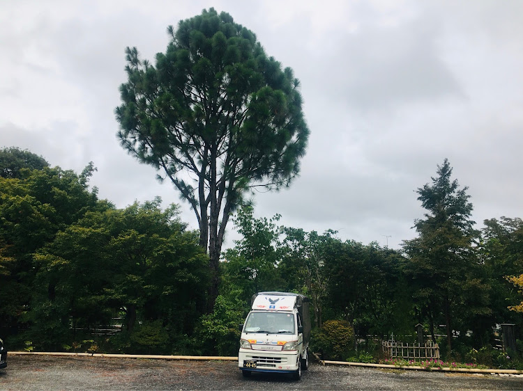 コペンの大王松と愛車コラボ祭り!楽しみした!良いね!イイね！いいね！最高だね！・人それぞれ！生き方！価値観！物の捉え方考え方！全て違って当然！だから世の中面白いのだと思います！最高だね！！・幸せは自分自身で見出す物で他人から与えられる物では有りません！最高だね！・貧乏しても心❤️の貧乏人には成りたく無いですね！最高だね！・人は人です!自分の納得出来る生き方をしましょう!最高だね！に関するカスタム事例の投稿画像19枚目