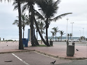 Durban's beachfront, which is usually crammed with early morning joggers and cyclists, was packed with pigeons and a lone monkey on Friday morning, hours after the country started a 21-day lockdown.