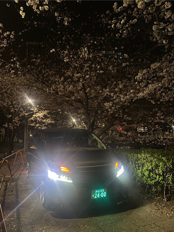 ヴェルファイアの桜と愛車・桜とコラボ・夜桜・ドライブに関するカスタム事例の投稿画像2枚目
