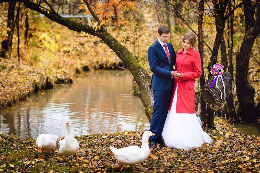 Photographe de mariage Oksana Ladygina (oxanaladygina). Photo du 24 octobre 2015