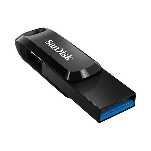 USB 256GB SANDISK SDDDC3-256G-G46