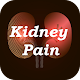 Download Kidney Pain Symptoms and Treatment For PC Windows and Mac 1.1