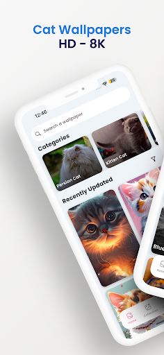 Screenshot Cute Cat Wallpapers HD - 4K