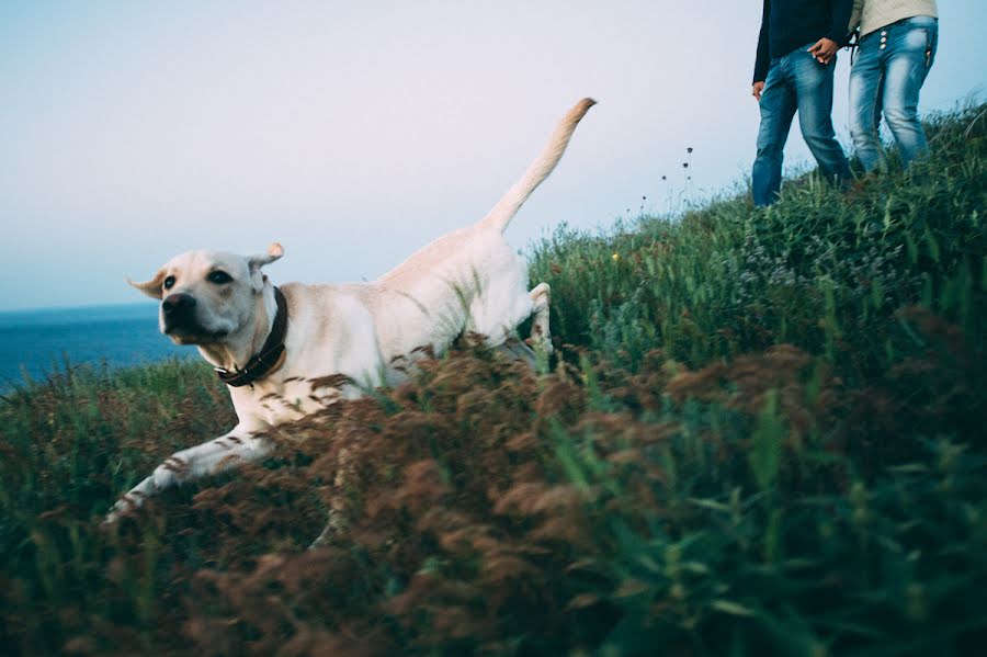 Bryllupsfotograf Andrew Kopanev (andrewkopanev). Bilde av 18 juni 2015