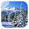 Winter Pro Live Wallpaper icon