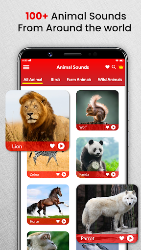 Screenshot Animal Sounds Birds Ringtones