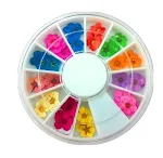 60 dried flowers