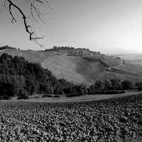 Camminando in collina... di 