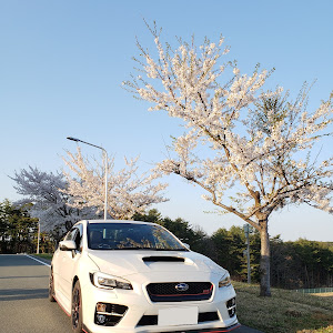 WRX STI