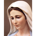 Cover Image of Download Catholic Prayers Offline and The Holy Rosary 83.0 APK