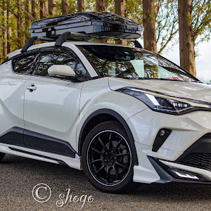 C-HR NGX50