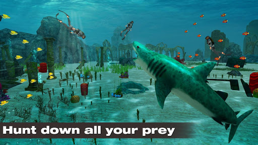 Shark Simulator 2019