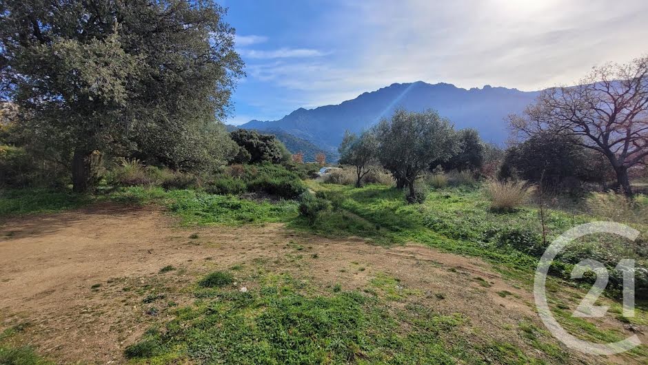 Vente terrain à batir  4100 m² à Montegrosso (20214), 499 000 €