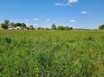 terrain à Montpon-Ménestérol (24)