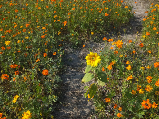 slider image 17