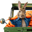 Peter Rabbit 2 HD Wallpapers New Tab