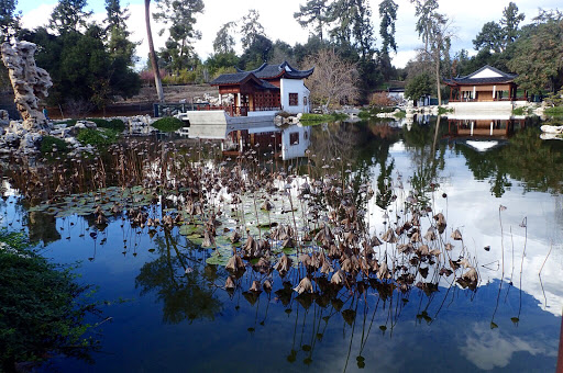 HLAG The Chinese Garden at the Huntington