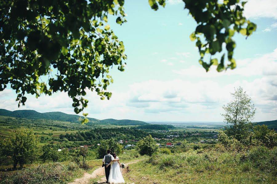 Wedding photographer Vladislav Ziynich (iphoto2016). Photo of 23 November 2016