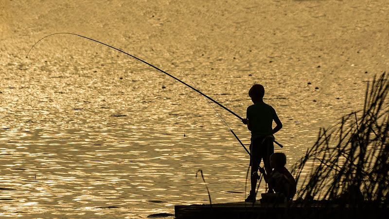 Tom Sawyer ... di sfzincolini