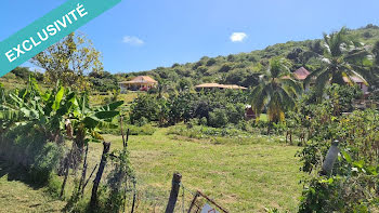 terrain à Sainte Anne (972)