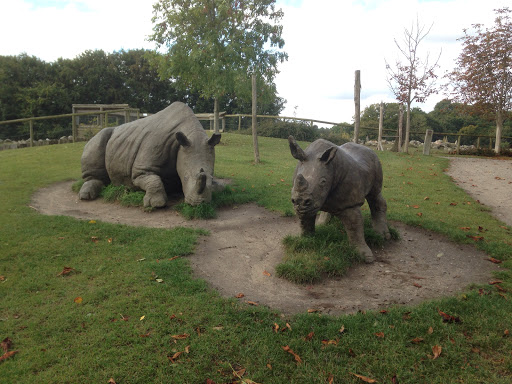 Nashorn Skulptur